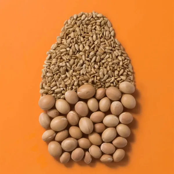 شامپو کراتین او جی ایکس