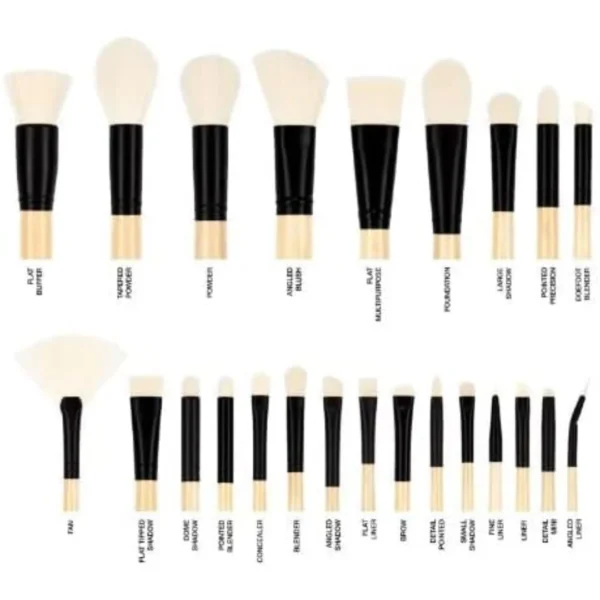 ست براش 24 عددی كاستل سنت Coastal Scents Elite 24 Piece Brush Set