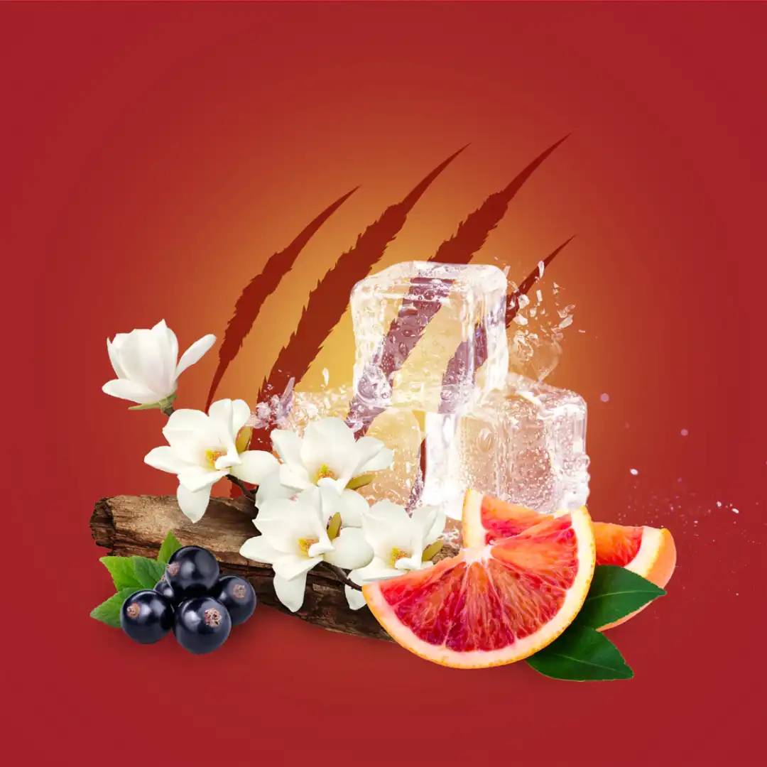 old spice tiger claw-03